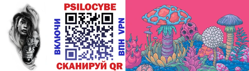где можно купить   Грайворон  нарко площадка состав  Галлюциногенные грибы Magic Shrooms 